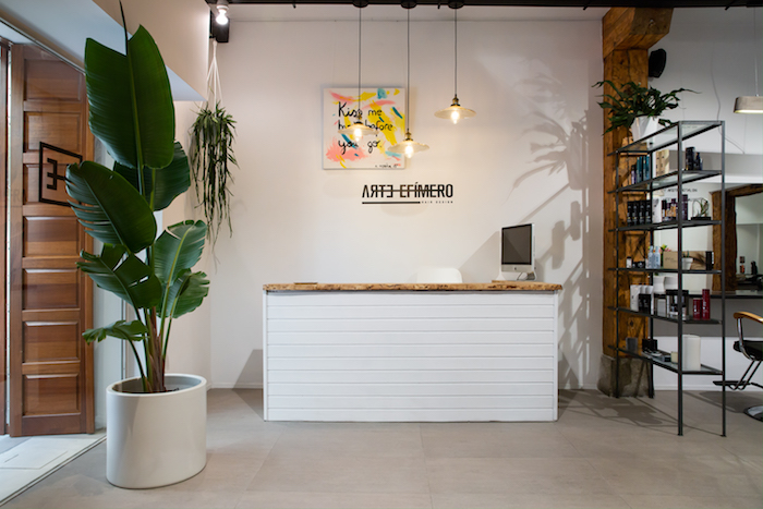 Arte Efimero Salon