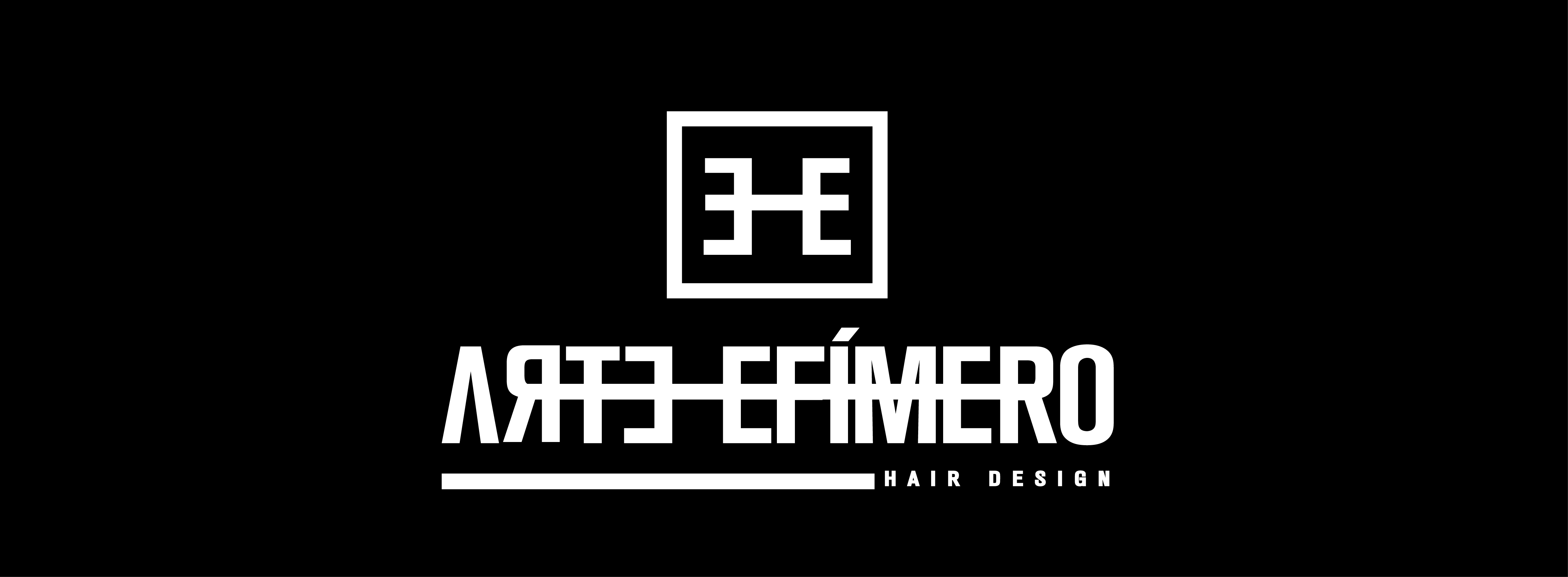 logo negro arte efimero salon